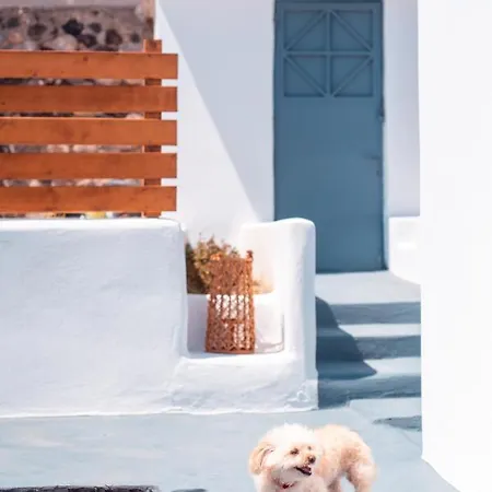 Villa Blue Soul Luxury Éxo Goniá